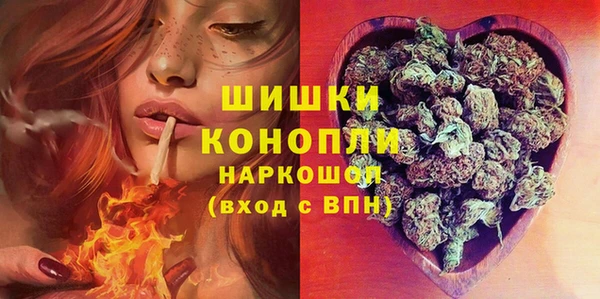 бошки Горняк